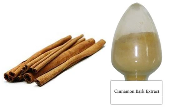 product-1-1 Cinnamon Extract Powder.png