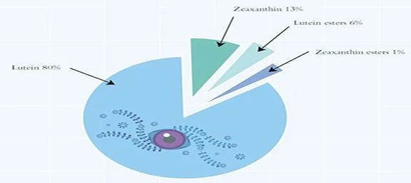 Quali alimenti sono ricchi di zeaxantina?
