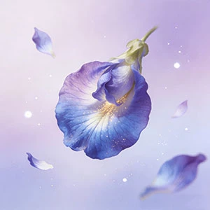 Come ti fa sentire il fiore di pisello farfalla?