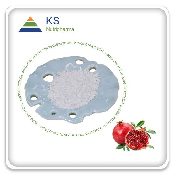 Melograno urolitina una polvere